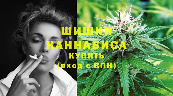 PSILOCYBIN Абдулино