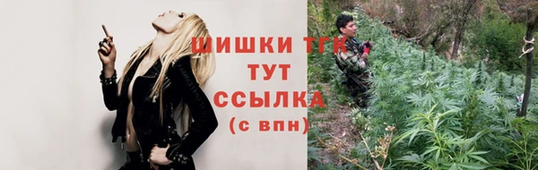 PSILOCYBIN Абдулино