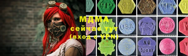 индика Абаза