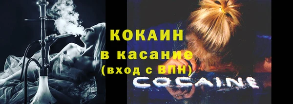 индика Абаза
