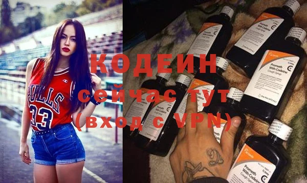 индика Абаза