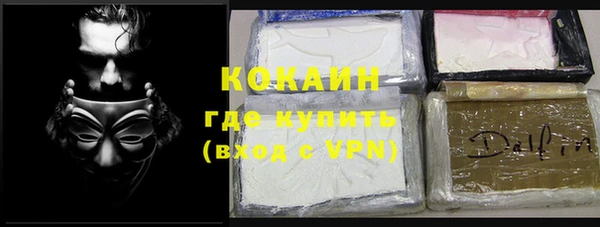индика Абаза