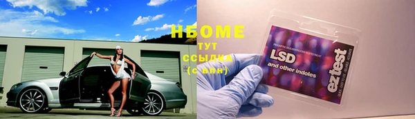 индика Абаза
