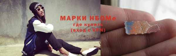 индика Абаза