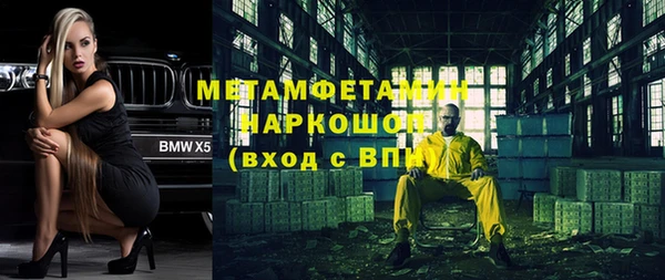 индика Абаза