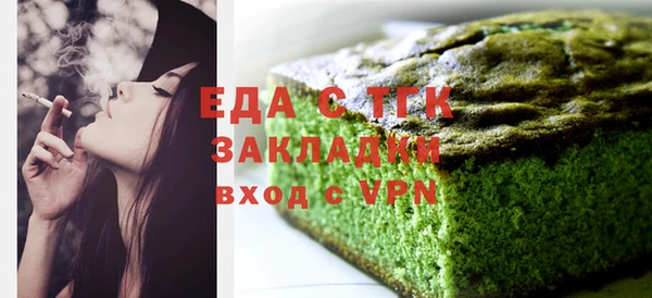 индика Абаза