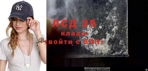 индика Абаза
