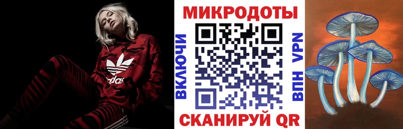 Псилоцибиновые грибы мицелий где продают Бобров